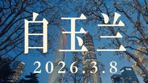 娱乐资讯