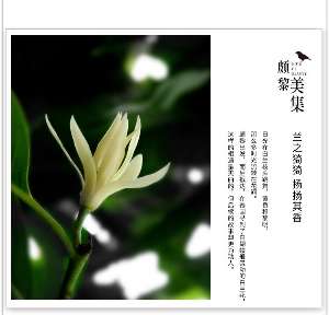 娱乐资讯