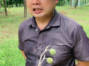 娱乐资讯