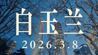 娱乐资讯