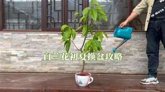 娱乐资讯