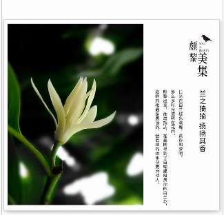娱乐资讯