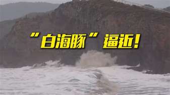 娱乐资讯